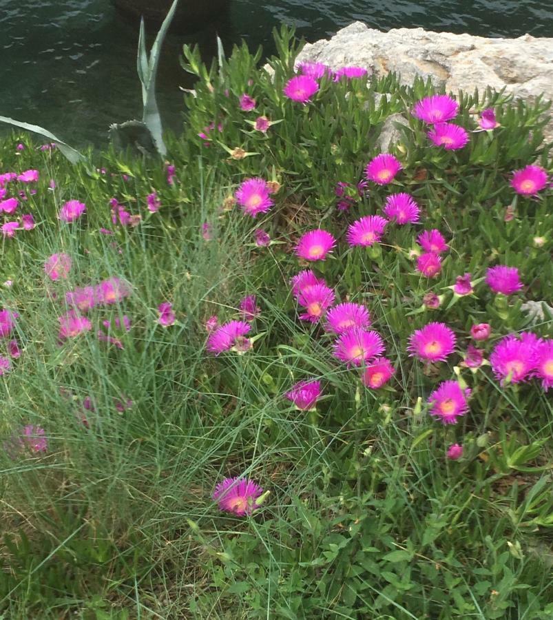 Guesthouse Antonija Veli Lošinj Eksteriør billede